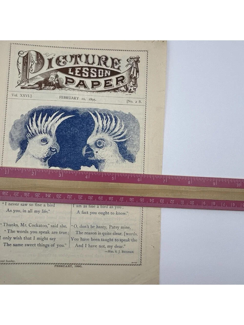 Antique 1895 Picture Lesson Paper Polly & Patsy Cockatoo Parrot Ephemera     C19